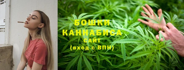 ПСИЛОЦИБИНОВЫЕ ГРИБЫ Баксан